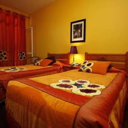 Guest house The Flame Tree Madeira (adults Only) Funchal (Madeira)